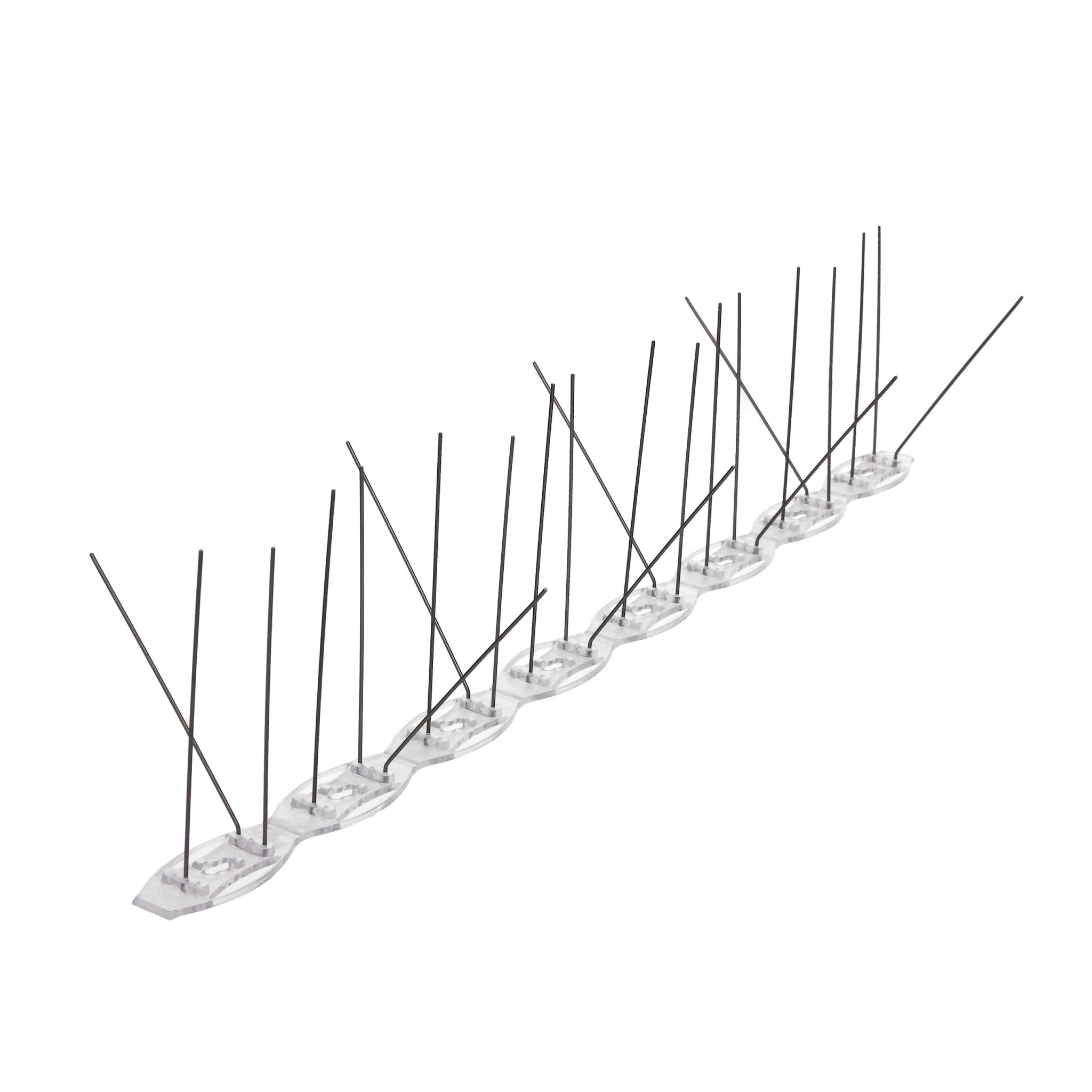 Anti-bird spikes - Polnets, specialist of anti-bird spikes and nets